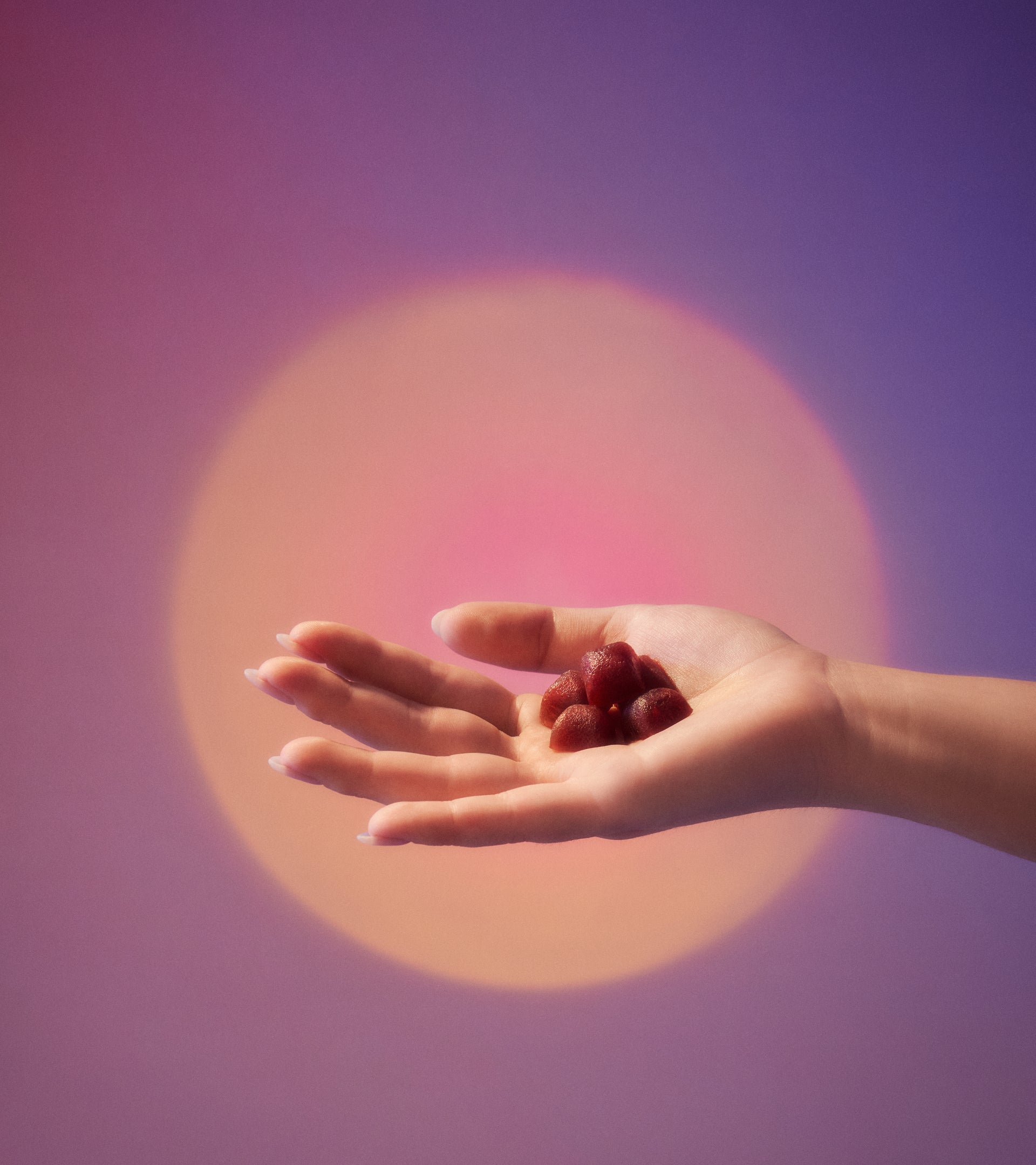 Day & Night Bundle ☀️🌙