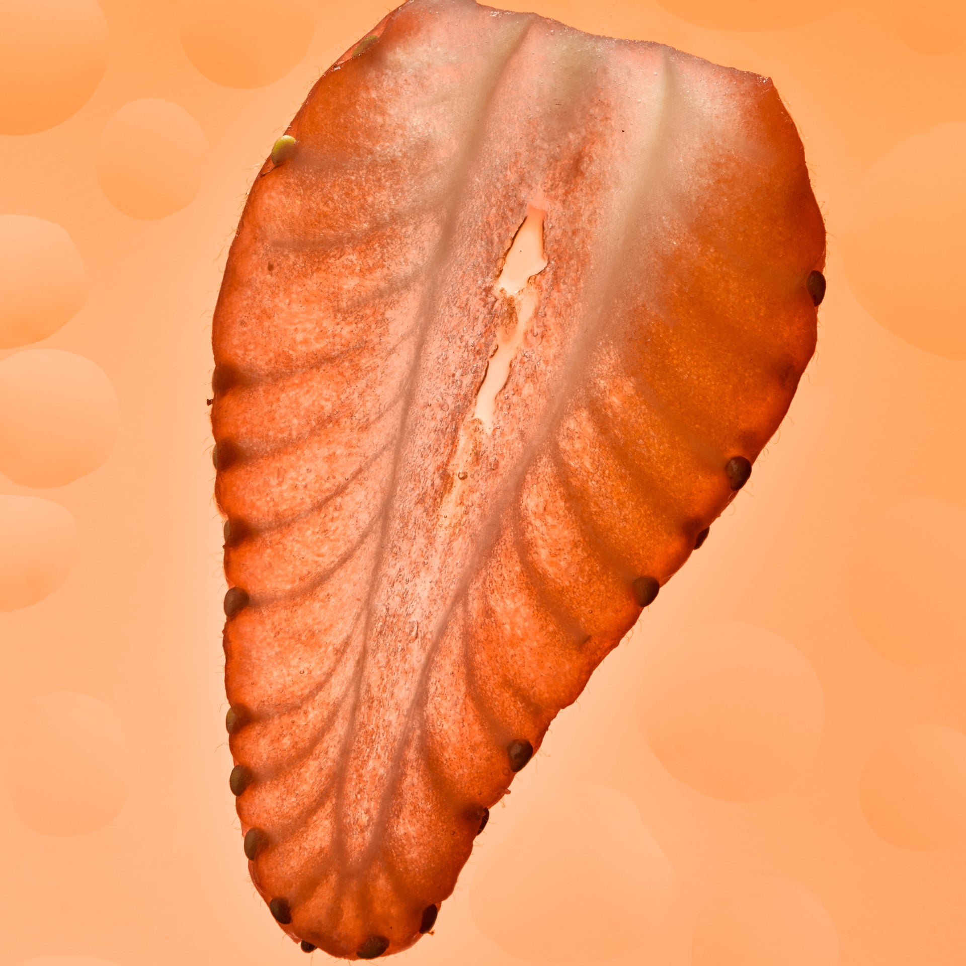 Brain Boost Gummies - The Flavor Sampler π