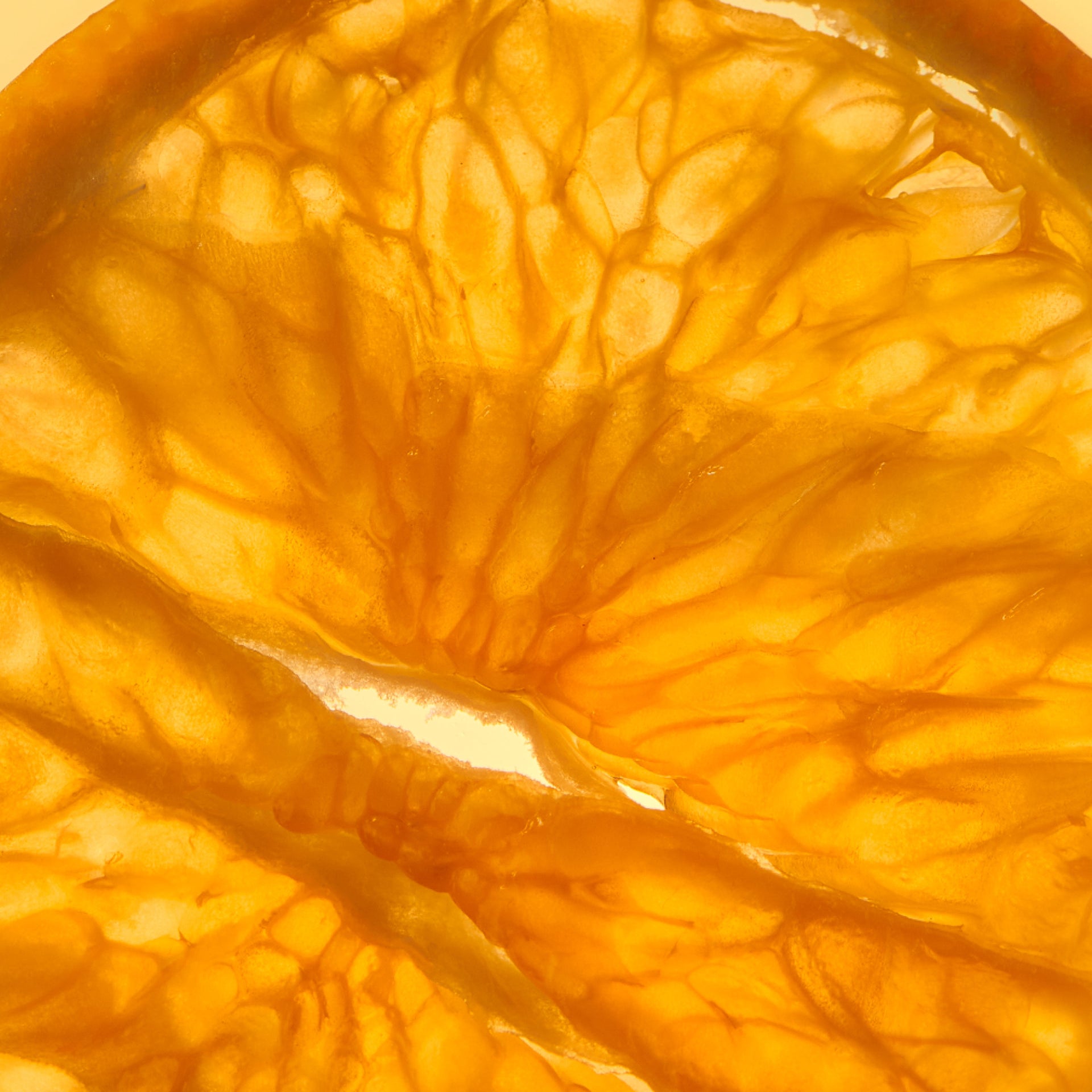 Brain Boost Gummies - The Flavor Sampler π