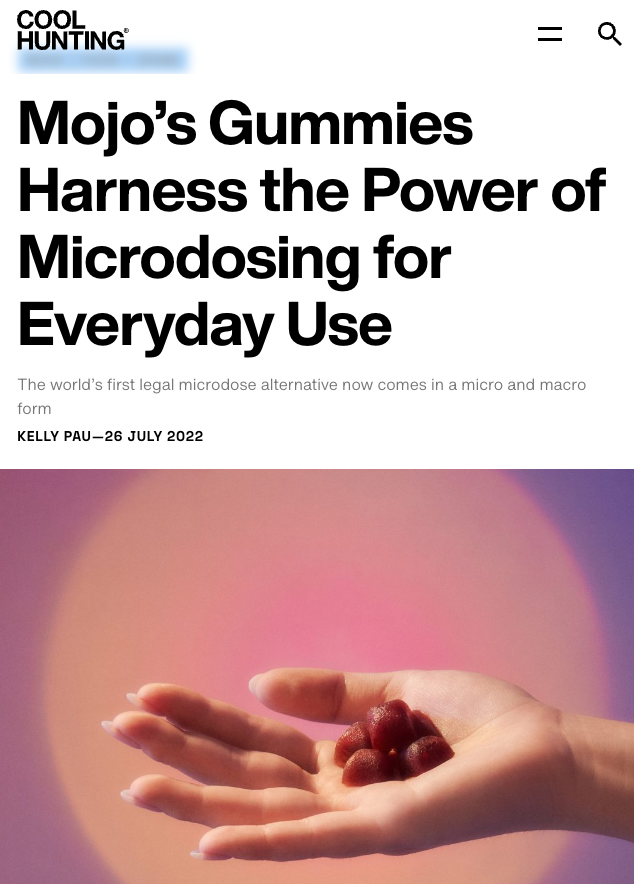 Brain Boost Gummies - Pomegranate Hibiscus