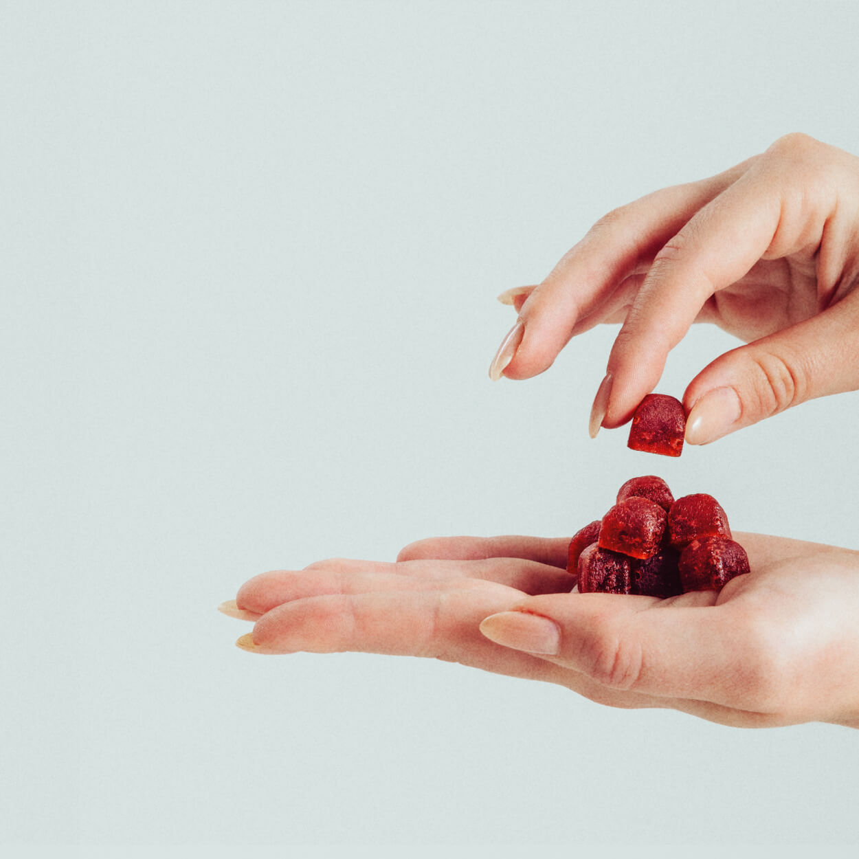 Day & Night Bundle ☀️🌙