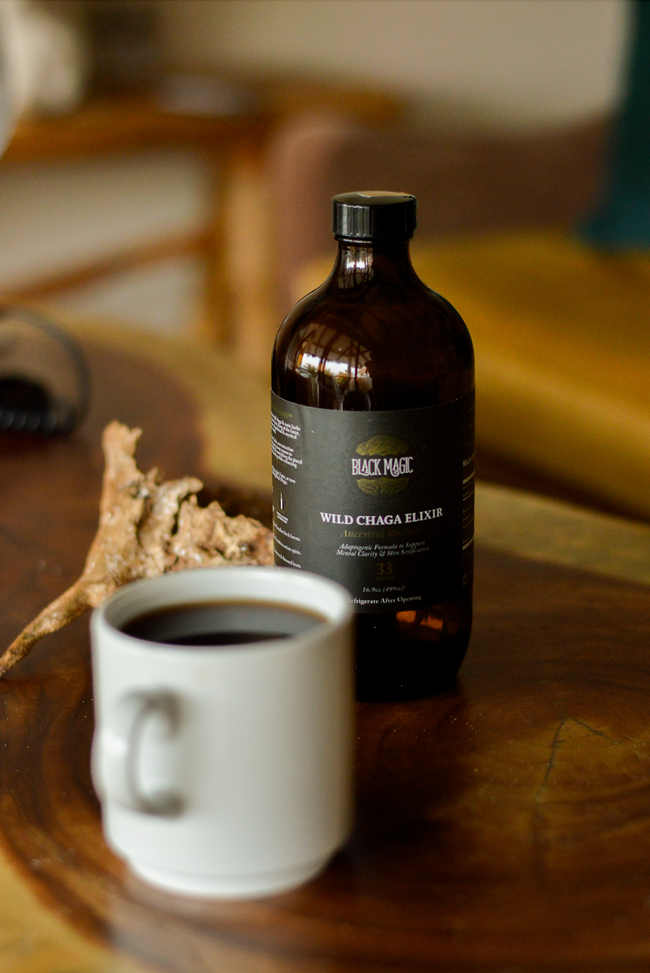 Wild Harvested Chaga Mushroom Rootbeer Elixir