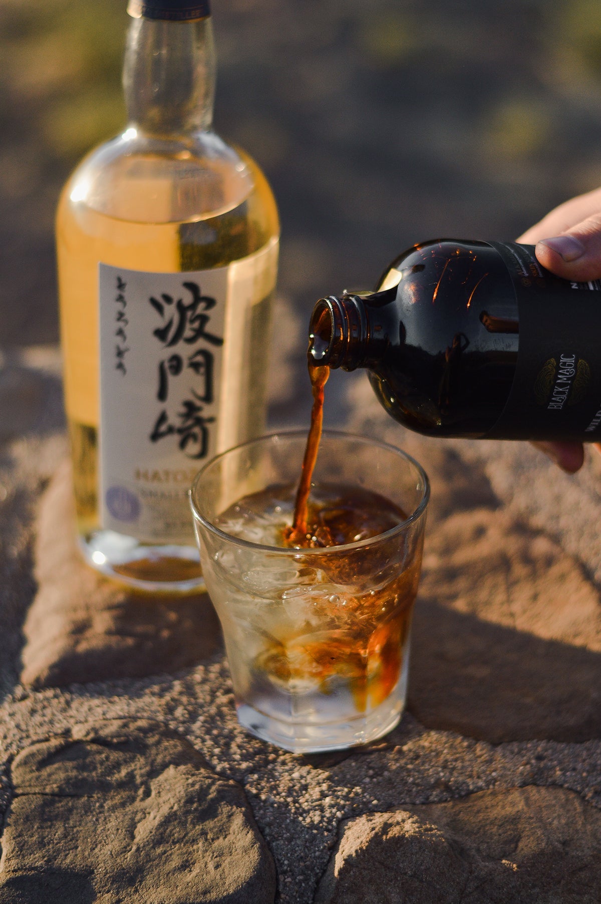 Wild Harvested Chaga Mushroom Rootbeer Elixir