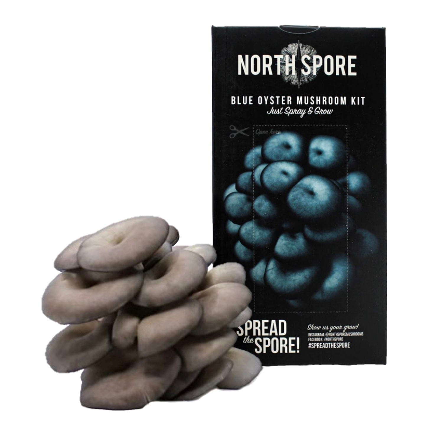 Blue Oyster Mushroom Spray & Grow Kit