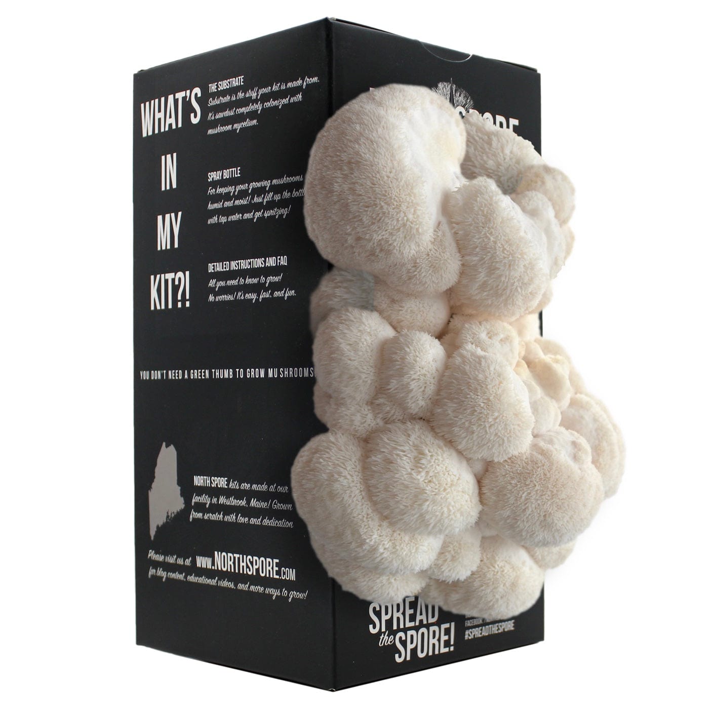 Lion's Mane Mushroom Spray & Grow Kit