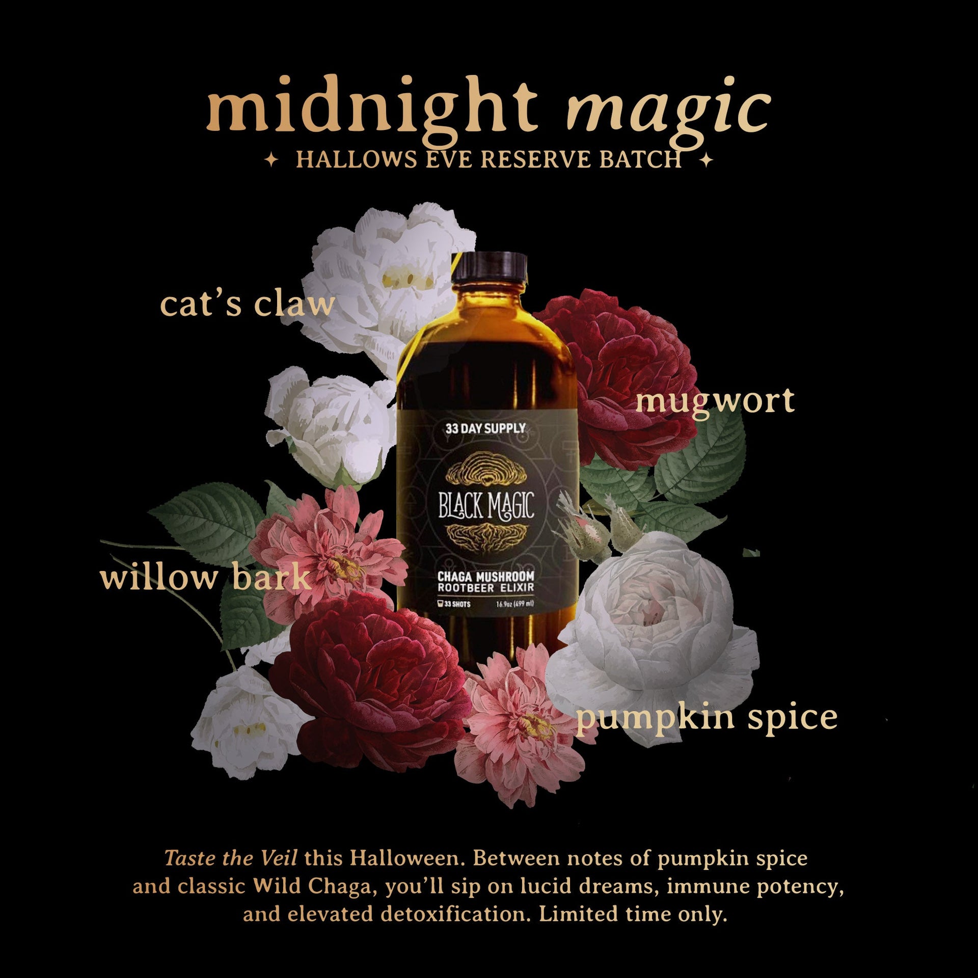 Wild Harvested Chaga Mushroom Rootbeer Elixir