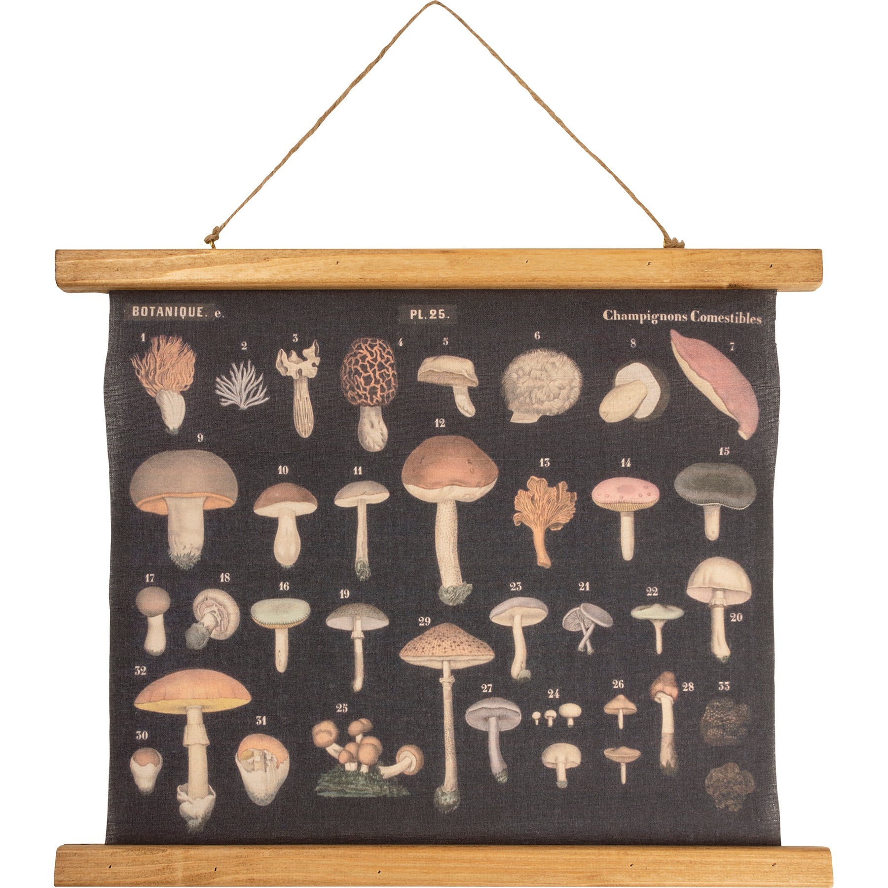 Vintage Mushrooms Botanical Wall Hanging
