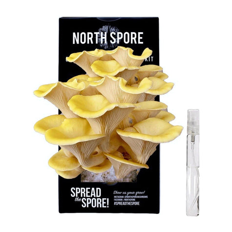 Golden Oyster Mushroom Spray & Grow Kit