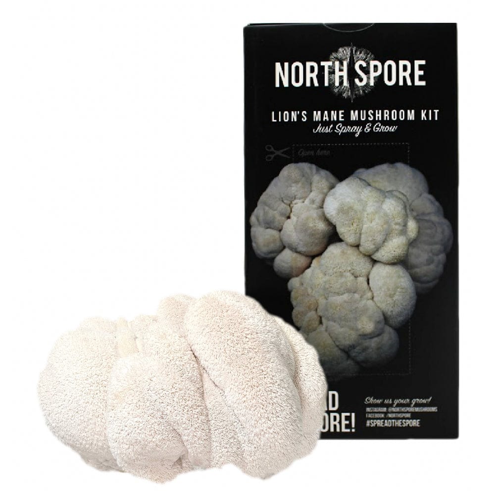 Lion's Mane Mushroom Spray & Grow Kit
