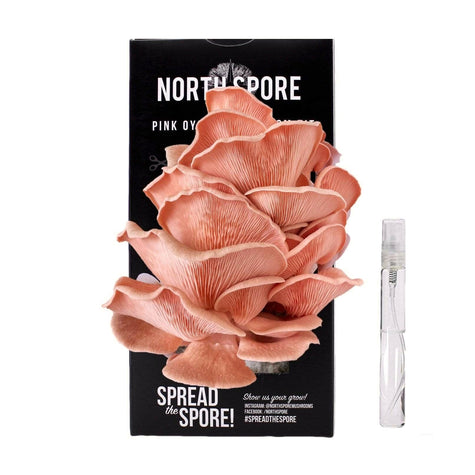 Pink Oyster Mushroom Spray & Grow Kit